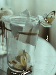 pic for Butterflies in a Jar